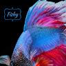 Fishy profile photo